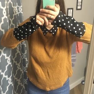 Polka-Dot Collared Tan Sweater